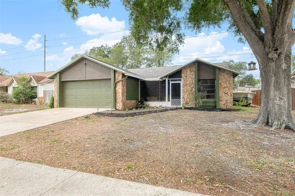 4105 SPRING WAY CIR, Valrico, FL 33596
