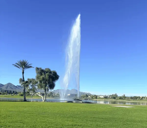 feature image of Why I Chose Fountain Hills, AZ and What One Week Reminded Me About This Life, This Community, and This Work