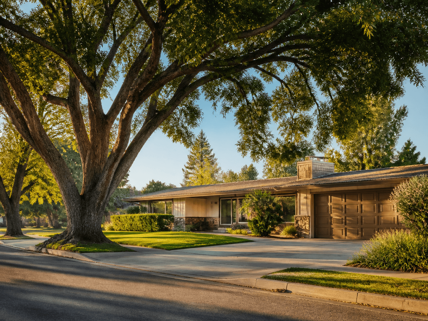 A mid-century ranch home in Rossmoor, CA with a mature tree arching over the street in warm afternoon light