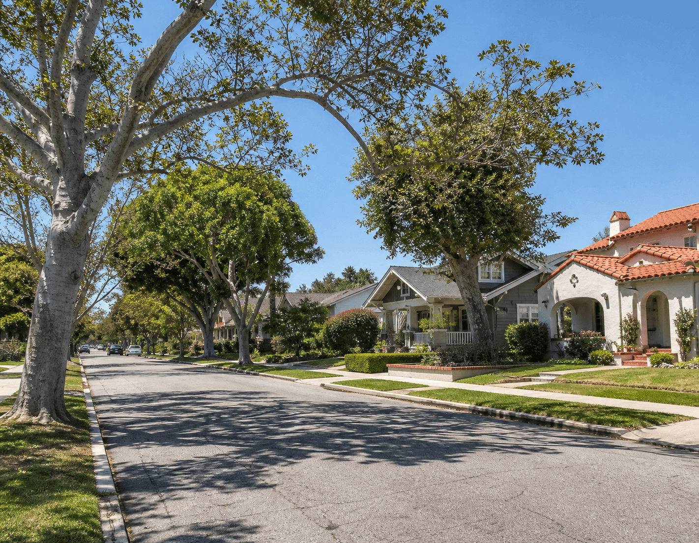 Leafy Long Beach residential street with Craftsman and Spanish-style bungalows under a clear coastal sky