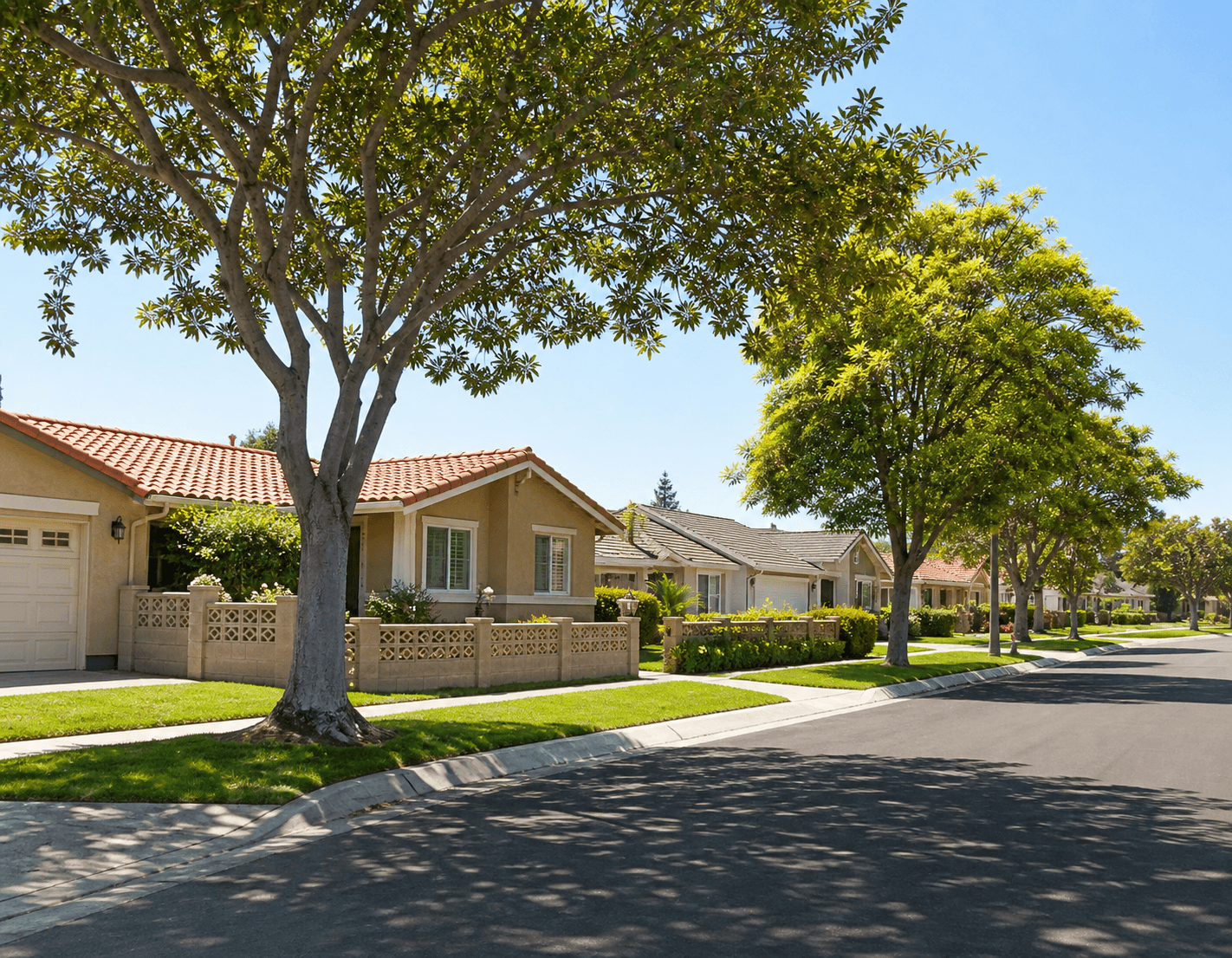 Sunlit residential street of single-storey homes with mature trees in Westminster