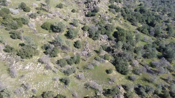 25 Buckaroo LN, Auberry, CA 93602