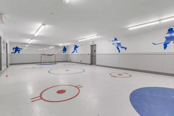 INDOOR HOCKEY RINK