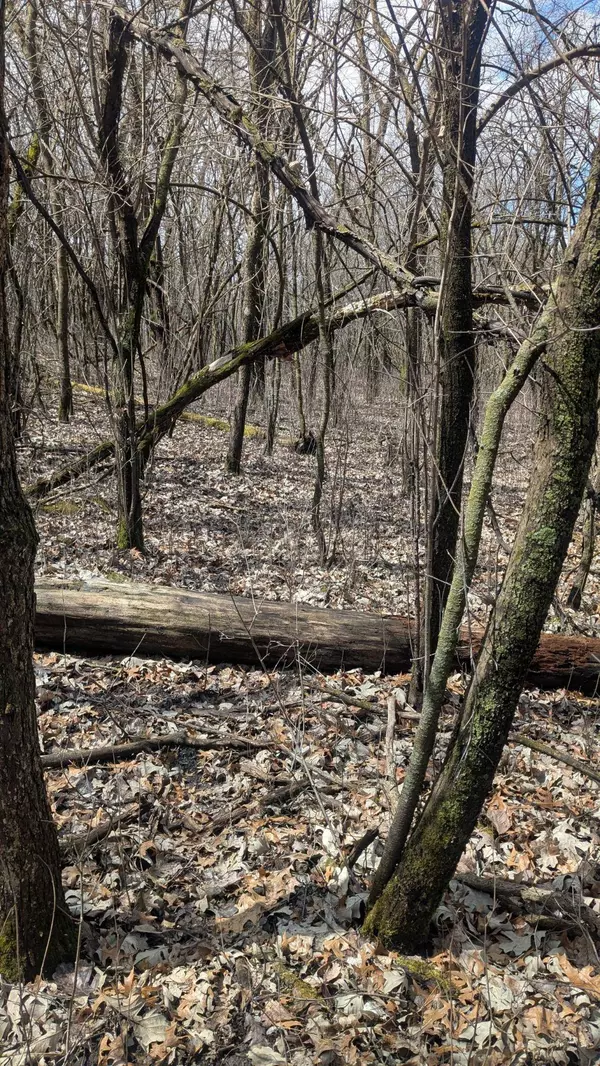 xxx Crosby Dr, Hudson, WI 54016