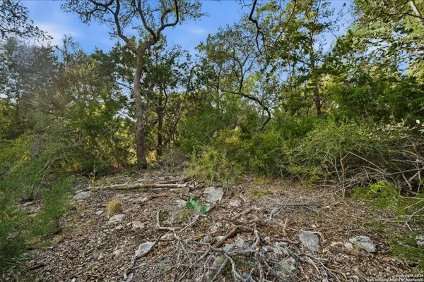1371 FOUR WINDS DR, Canyon Lake, TX 78133