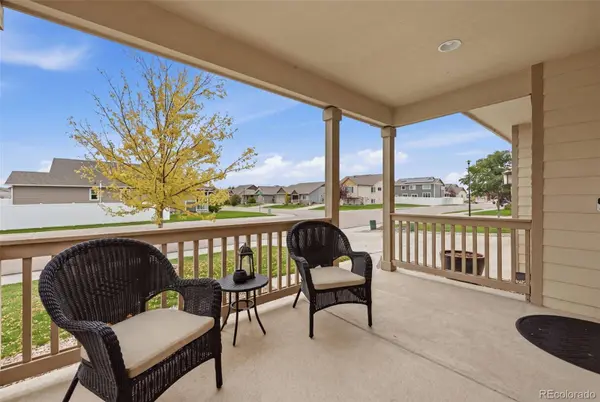 4204 Paddock DR, Wellington, CO 80549