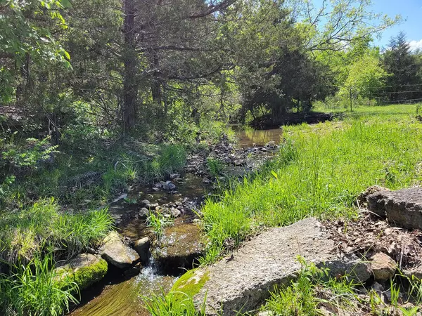 0 Red Barn Road, Grovespring, MO 65662