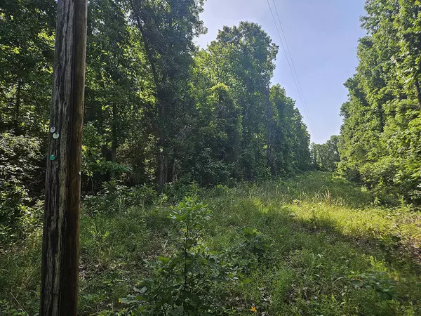 0 Private Drive Off Yy, Norwood, MO 65717