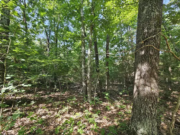 0 Private Drive Off Yy, Norwood, MO 65717