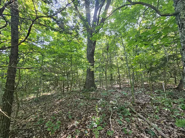 0 Private Drive Off Yy, Norwood, MO 65717