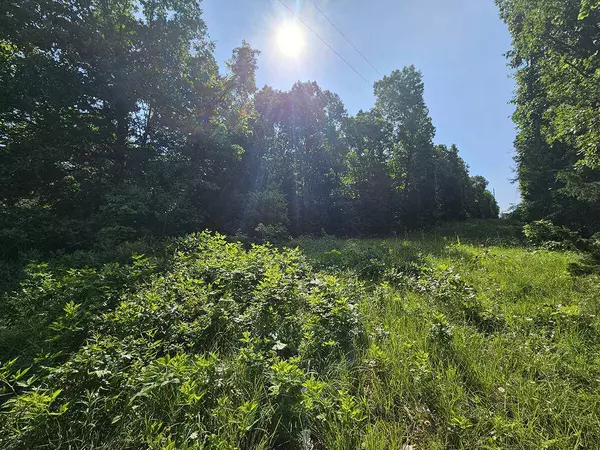 0 Private Drive Off Yy, Norwood, MO 65717