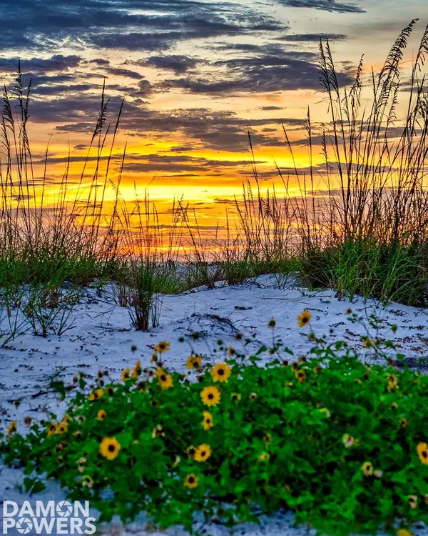 feature image of July in Sarasota is putting on a show!