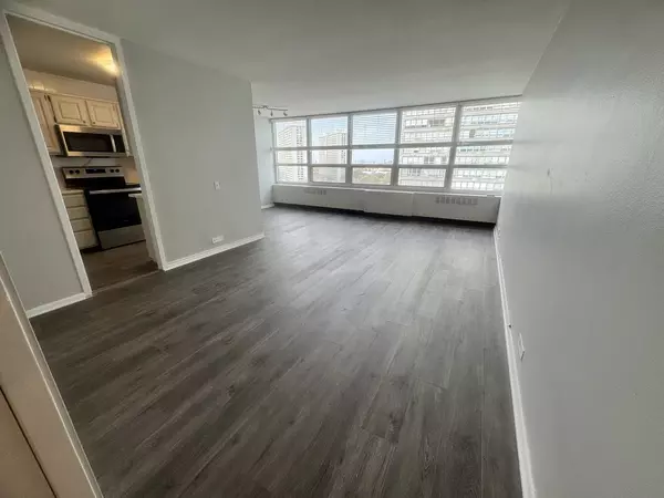 4800 S Chicago Beach Drive #1205S, Chicago, IL 60615