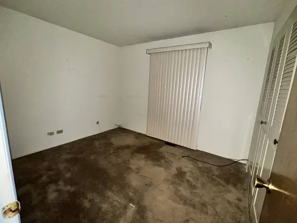 20152 Ash Lane #1, Lynwood, IL 60411