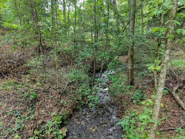 2479 Plum Orchard RD, Clayton, GA 30525