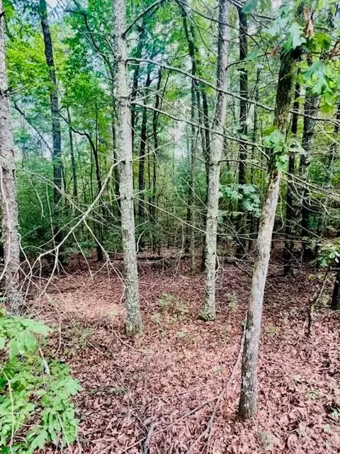 Lot 42 Squirrel Hunting Road, Ellijay, GA 30540