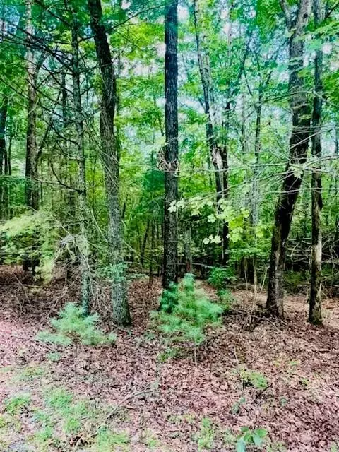 Lot 42 Squirrel Hunting Road, Ellijay, GA 30540