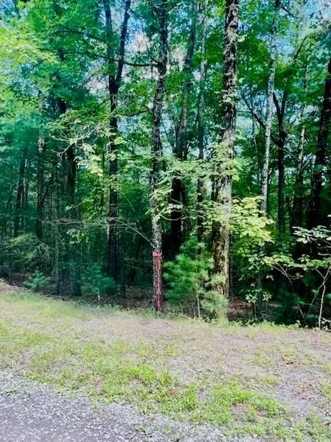 Lot 42 Squirrel Hunting Road, Ellijay, GA 30540
