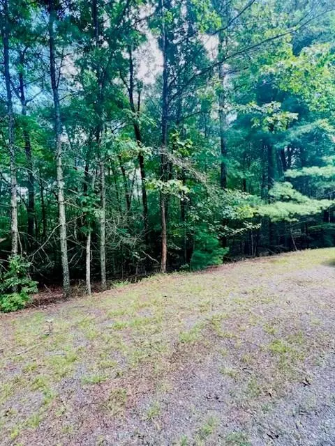 Lot 42 Squirrel Hunting Road, Ellijay, GA 30540