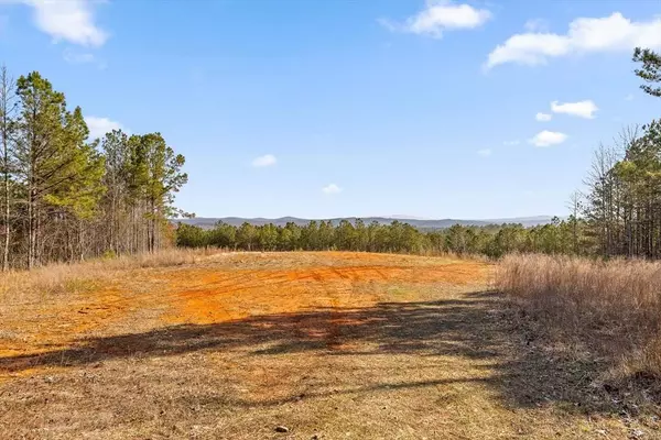 3 Carver Mill Road, Talking Rock, GA 30175