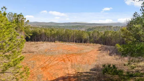 3 Carver Mill Road, Talking Rock, GA 30175