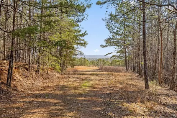 3 Carver Mill Road, Talking Rock, GA 30175