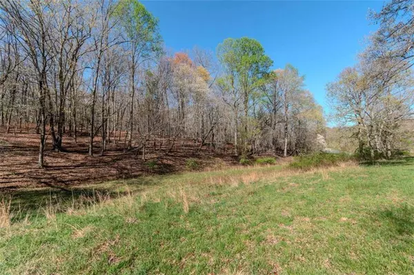 13.75A Tipton Springs RD, Morganton, GA 30560