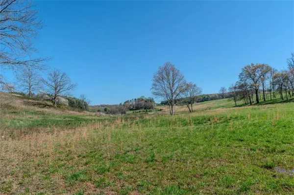 13.75A Tipton Springs RD, Morganton, GA 30560