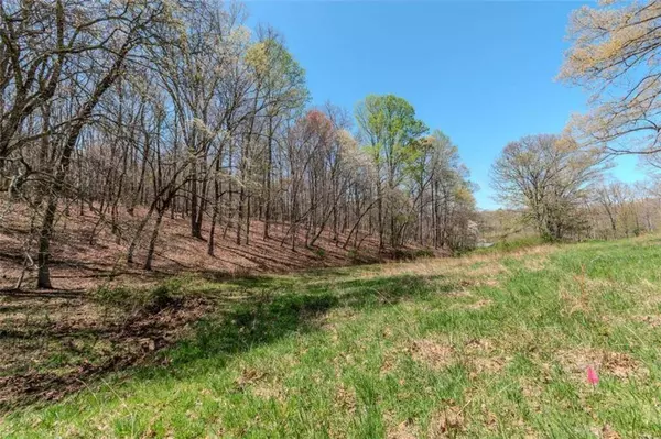 13.75A Tipton Springs RD, Morganton, GA 30560