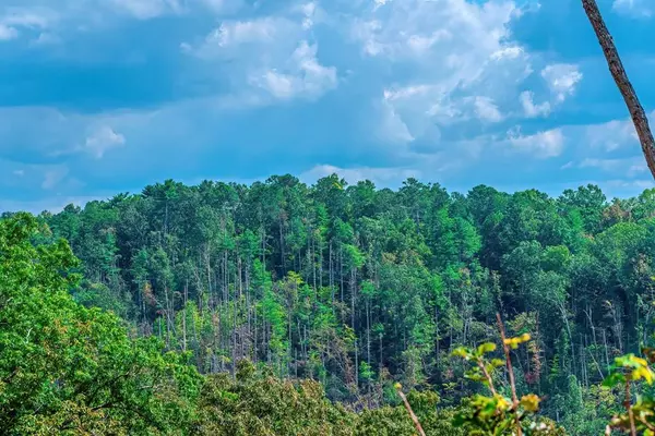 Lot 50 Jakes Landing Way, Ellijay, GA 30540