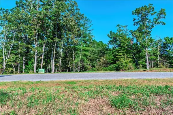 LOT 50 Jakes Landing WAY, Ellijay, GA 30540