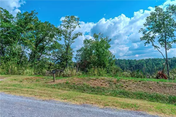 LOT 50 Jakes Landing WAY, Ellijay, GA 30540