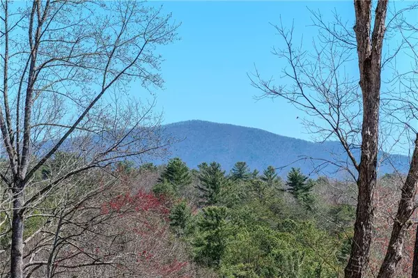 32 Muscogee DR N, Ellijay, GA 30540