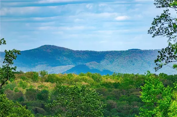 LT 238 Andes RDG, Talking Rock, GA 30143