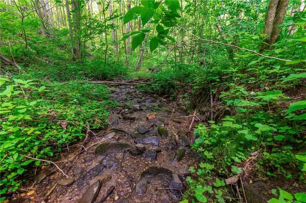 LT 238 Andes RDG, Talking Rock, GA 30143