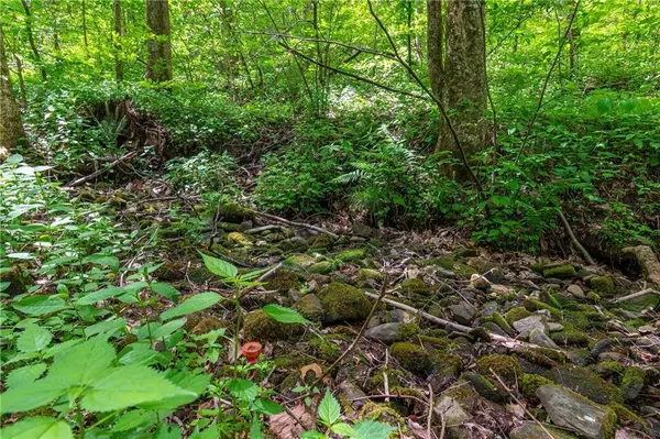 LT 238 Andes RDG, Talking Rock, GA 30143