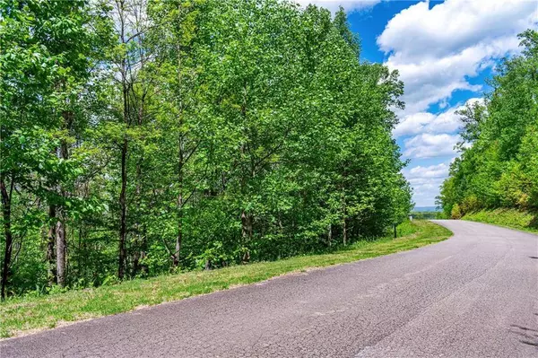 LT 238 Andes RDG, Talking Rock, GA 30143