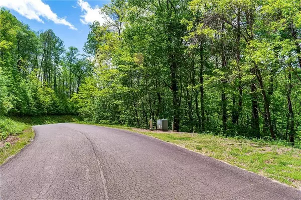 LT 238 Andes RDG, Talking Rock, GA 30143