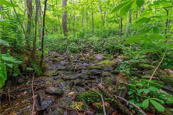 LT 238 Andes RDG, Talking Rock, GA 30143