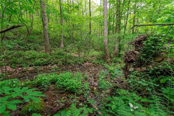 LT 238 Andes RDG, Talking Rock, GA 30143