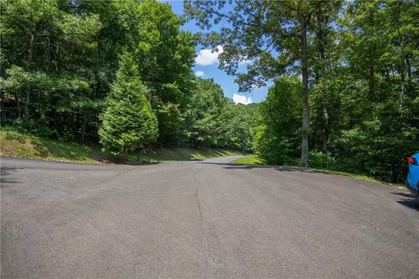 LT104 Mountain Creek Hollow DR, Talking Rock, GA 30175