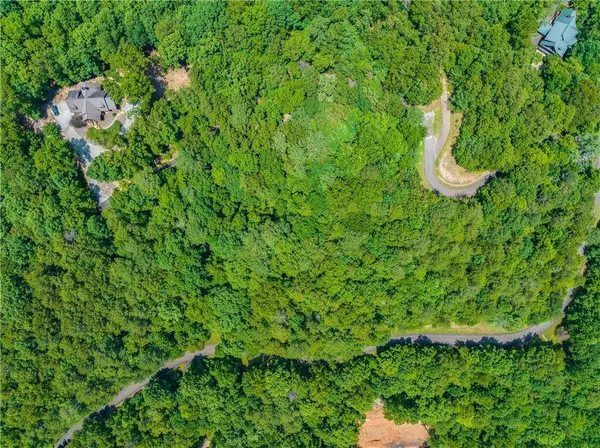 LT104 Mountain Creek Hollow DR, Talking Rock, GA 30175