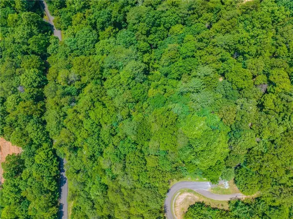 LT104 Mountain Creek Hollow DR, Talking Rock, GA 30175