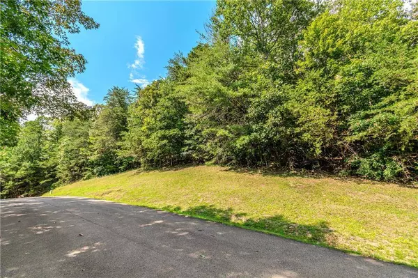 4.7AC Mountain Creek Hollow DR, Talking Rock, GA 30175