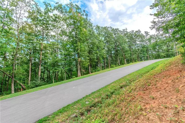 LT219 Stone Cliff DR, Jasper, GA 30143