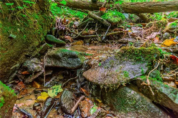 LOT 26 Foxpaw Leaf LN, Ellijay, GA 30536