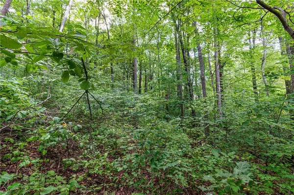 LT219 Stone Cliff DR, Jasper, GA 30143