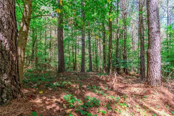 LOT 26 Foxpaw Leaf LN, Ellijay, GA 30536