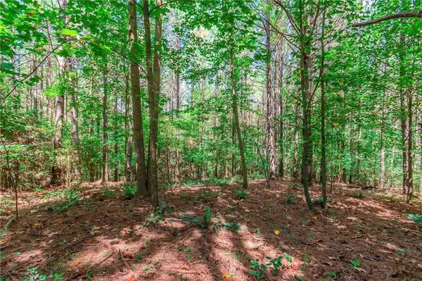 LOT 26 Foxpaw Leaf LN, Ellijay, GA 30536
