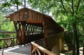 Why Vista Group Leads Cullman County in Video Marketing